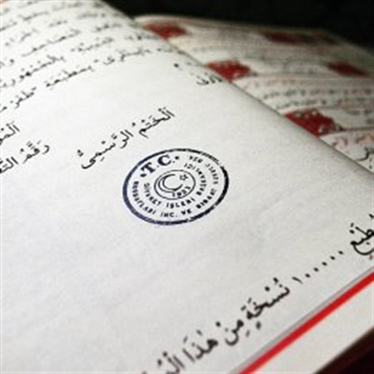 Orta Boy Kuranı Kerim Türkçe Meali Kuşe Sıvama Mor Renk Seccade Hediyeli